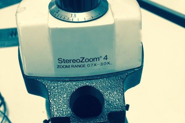 microscope b l stereozoom 4 new and used machines for sale the machine market 56411